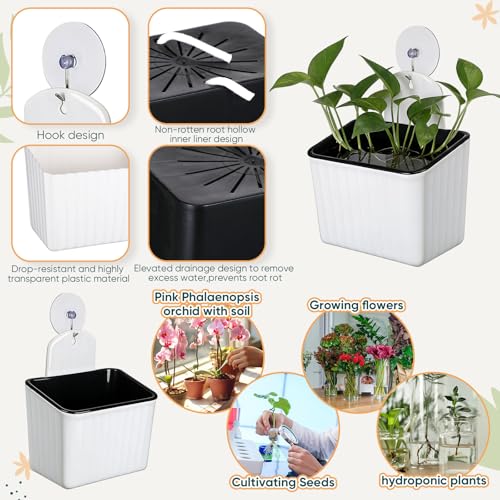 Hushee 4 Set Window Hanging Propagation Stations with Suction Cups Plastic Propagation Vases Propagated Plant Holder Wall Pots for Indoor Plants Office Home Garden Decoration Lover Gift (White) - style: White