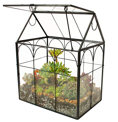 ELEGANTLIFE Glass Geometric Plant Terrarium,Succulent & Air Planter for Home Garden Office Decoration (Black House) - color: Black House