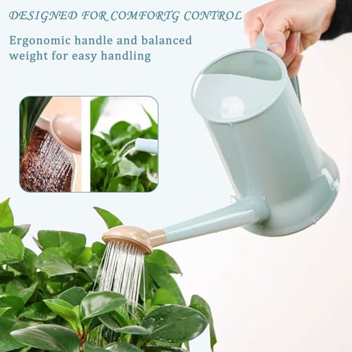 2L Thick Plastic Watering Can with Long Spout – Lightweight Garden Watering Can for Indoor & Outdoor Plants, Flowers, Balcony –Durable & Leakproof (Blue) - color: Blue