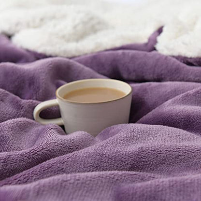 NANPIPER Couch Blanket Reversible Sherpa Flannel Blanket Ultra-Soft Plush Warm Fleece Microfiber (60"x80",Cassis Purple) - color: Cassis Purple, size: Twin