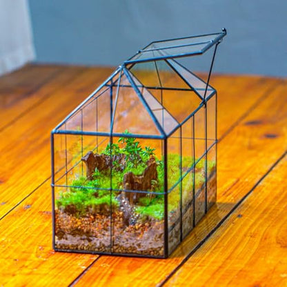 NCYP Glass Terrarium Planter with Lid for Small Succulent Plants, Grid House Shape Black Geometric Terrarium Pot, Home Garden Indoor Tabletop Decor, 9.84" x 5.31" x 7.87" (No Plants)
