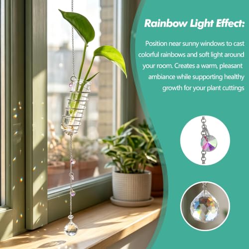 6Pcs Hanging Plant Propagation Station with Crystal Ball Prisms Suncatcher | Window Hanging Propagation Station and Cleaning Brush, Glass Plant Suncatcher for Indoor Wall Gifts for Plants Lovers(Silver) - color: Silver