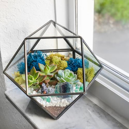 Creations by Nathalie DIY Geometric Glass Terrarium Kit with Moss & Tools | DIY geometric glass terrarium kit with moss, tools, and supplies for creating an indoor terrarium display with your plants. - color: 7” Geometric Dodecahedron