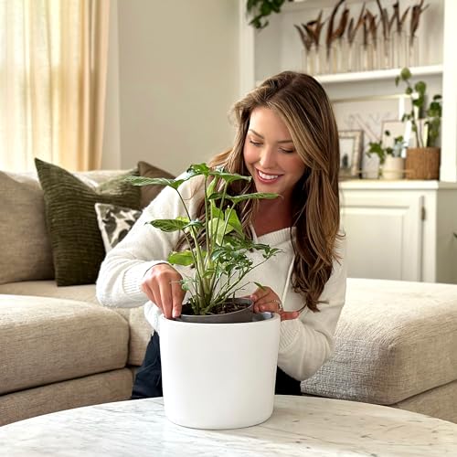 9 Inch Matte White Ceramic Planter with Drainage - Ceramic Plant Pots for Indoor, White Indoor Planter, Flower Pot, 9 Inch Plant Pot