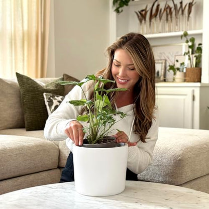9 Inch Matte White Ceramic Planter with Drainage - Ceramic Plant Pots for Indoor, White Indoor Planter, Flower Pot, 9 Inch Plant Pot