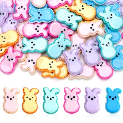 JUNEBRUSHS Easter Decorations, 50 Pcs Tiny Easter Rabbits Resin Rabbits Flat Easter Rabbits Mini Rabbit Figurines Easter Egg Fillers for Easter Crafts Home Table Decor - style: Easter Style