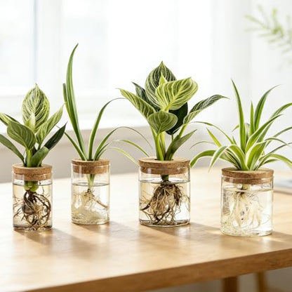 Glass Plant Propagation Stations for Plants – Set of 4 | Hydroponic Pots for Flower Arrangements,Plant Cuttings,Home & Office Decor–Desktop Vases for Living Room,Bedroom