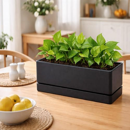 D'vine Dev 2-Pack Rectangular Planters, 12 x 4.5 in, Black, 76-X-B-2 | Minimalist Design, Large Planting Capacity, Drainage Holes & Saucer, Thick-Walled Durable Build, Ideal for Windowsills - color: Black