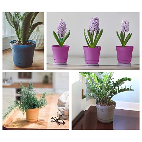 Bloem 814174023082 Saturn Planter with Saucer, 5", Calypso (SP0527), 5" - color: Calypso, size: 5"