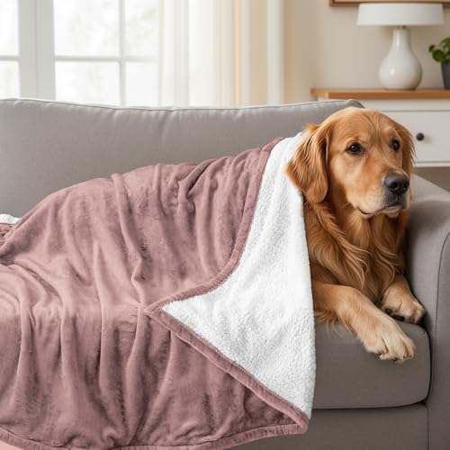 Utopia Bedding Plush Sherpa Blanket Throw Size Rose Pink, 50x60 Inch | Soft, Warm, Fleece, Bed, Sofa, Couch, Camping, Travel, Cozy, All Season - color: Rose Pink, size: Throw (50x60 Inch)