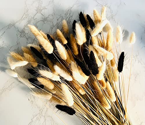 100 Stems Bunny Tails Pampas Grass Dried Flowers | 30pcs Black, 30pcs White, 40pcs Natural Brown, Boho Home & Kitchen Decor, Pampas Grass Decor