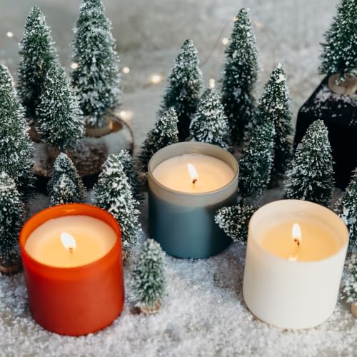 Dignity Series Apples & Maple Bourbon Scented Candle | 35 Hour Burn - Made in the USA Luxury Clean Soy Wax Candles - Long Lasting Red Glass Jar Candle for Home - 1 Wick - 5.3oz - color: Apples + Maple Bourbon