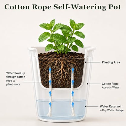 3" Self Watering Pots - 10 Sets Planter Pots for Indoor Plants With Water Level Indicator and Multiple Vents - for House Plants, Flowers, Herbs - size: 3 Inch - 10 Sets