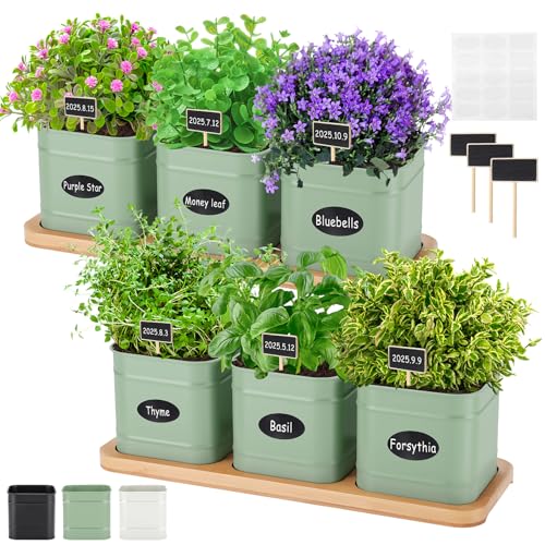 LemonRoad 6 Pcs Indoor Herb Planter Window Herb Pots for Kitchen with Drainage Hole and Bamboo Tray Farmhouse Metal Garden Planter Pot with DIY Label Mom Plant Gift(Sage Green,Square) - color: Sage Green