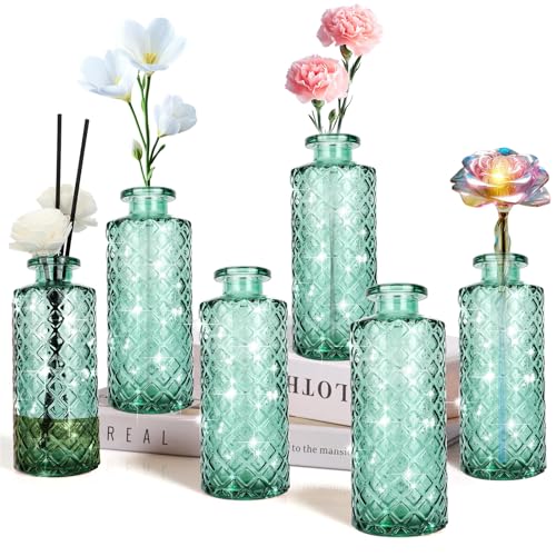 Glass Bud Vase, Green, Small Flower Vase, Set of 6, Simple and Solid, Aromatherapy Bottle, for Lady, Classy Gift for Mother's Day, Birthday, or Wedding, - color: Green
