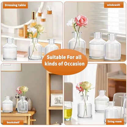 6 Pcs Bud Vases, Clear Glass Bud Vase, 2 x 2.75 Inch | Mini Flower Vases, Small Living Glass Vase Bulk for Flowers, Centerpieces, Home Table Decor, Living Room, Office Decor