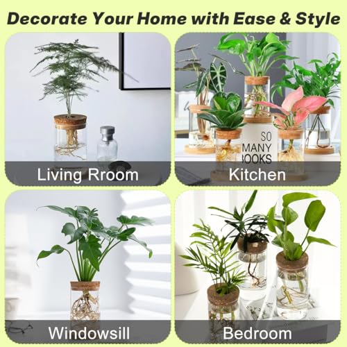 6 PCS Glass Plant Propagation Station for Plants Set Desktop Hydroponic Vases for Succulent Cuttings, Home Office Decoration, Desktop Planter Jars Being Able to Clearly See How Roots Develop