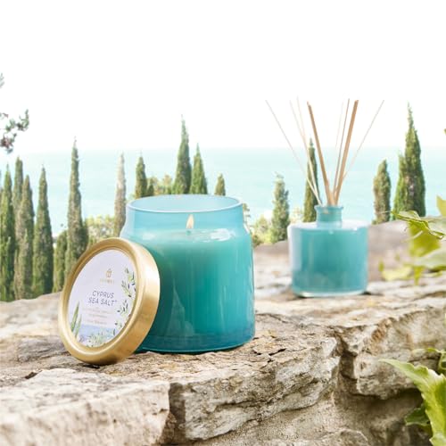 Thymes Petite Reed Diffuser Set – Includes Rattan Wood Sticks, Fragrance Oil, & Glass Bottle – Home Fragrance Oil Diffuser – Luxury Home Decor – Guest Bathroom Essentials (Cyprus Sea Salt, 4 fl oz)