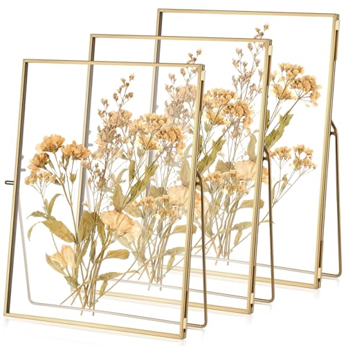 3 Pack Glass Pressed Flower Frame Handmade, 6 x 8 Floating Picture Frames for Pressed Flowers, Brass Double Glass for Tabletop Display, Home Office Plant Specimen, Photos(Gold) - color: Gold, size: 6 x 8 Inches