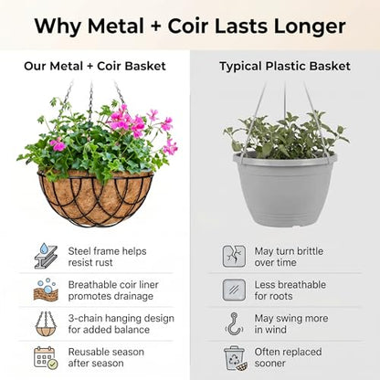 Kingbuy 12 Inch Metal Hanging Planter Basket 2 Pack - with Coconut Fiber Liners, Rustproof 3-Chain System, Quick Drainage for Indoor/Outdoor Window Balcony Patio, Weather-Resistant Coating - size: 12 Inch, style: Grid