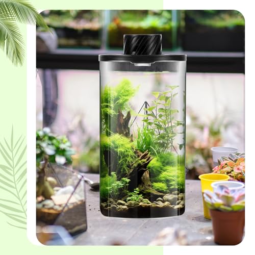 Glass Plant Terrarium Kit with LED Grow Light, Desk Terrarium for Venus Fly Trap, Succulents, Moss & Miniature Garden, Borosilicate Glass Desktop Planter for Home Office(7.9 x 3.9 Inch) - size: 7.9 x 3.9 Inch