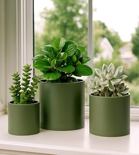 D'vine Dev 3-Pack Plastic Pots & Saucers, 4/5/6 in, Olive, 74-V-I-1 | Multi-Size Options, Lightweight Durable, Matte Finish, Cylinder Shape, Drainage Holes, Sleek Design, Detachable Saucer - color: Olive, size: Small