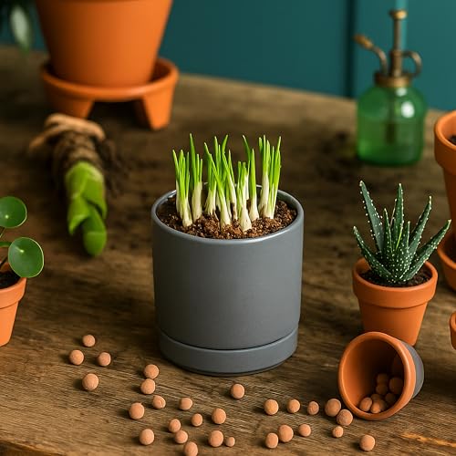 D'vine Dev 4-Pack Ceramic Pots with Saucers, Grey, 3.5 in, 94-X-A-3 | Glazed Ceramic, Drainage Hole and Saucer, Sleek Cylinder Shape, High Temperature Fired, Ideal for Small Houseplants - color: Gray, size: 3.5 Inch