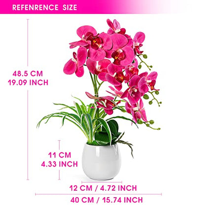 W&W Artificial Orchid Plants and Flowers with Vase, Fake Faux Orchid in Ceramic Pot,19”, Fuchsia - color: Fuchsia 01