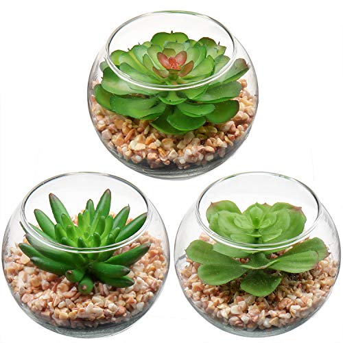 Briful Mini Fake Plants 3 Packs Artificial Succulents Plants in Round Glass Vase Cute Faux Succulents for Bathroom Kitchens Shelf Table Decor - color: 3pcs Succulents#07