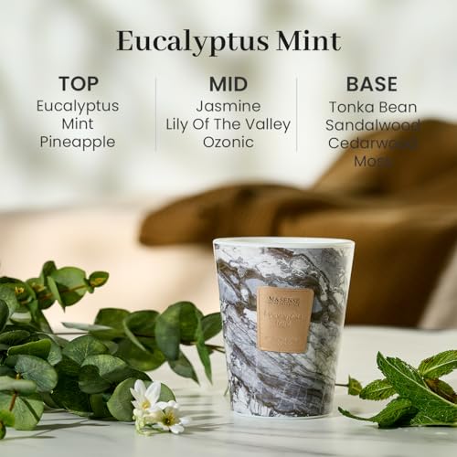M&SENSE Eucalyptus Mint Scented Soy Candle, 3 Wick Highly Scented 14.1 Oz 75H, Aromatherapy Christmas Gift for Women and Men - color: EucalyptusMint, size: Medium