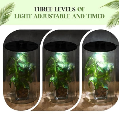 Glass Plant Terrarium Kit with LED Grow Light, Desk Terrarium for Venus Fly Trap, Succulents, Moss & Miniature Garden, Borosilicate Glass Desktop Planter for Home Office(9.8 x 5.9 Inch) - size: 9.8 x 5.9 Inch