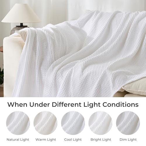 EGOHOME Cotton Two-Tone Check Pattern Waffle Blanket Queen Size | Bright White, 90"x90", Lightweight, Soft & Breathable for Bed, Couch, Sofa, All Seasons - color: Bright White, size: Queen
