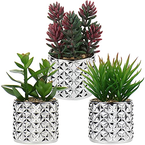 Briful Small Artificial Succulents in Pots 3 Packs Realistic Succulents Faux Potted Plants Cute Succulents Fake Plants Decor with Silver Glass Pots for Modern Home Office Decoration - color: Green Succulents#016