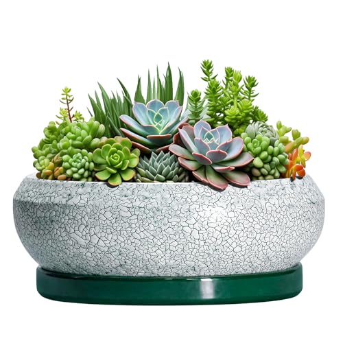 Succulent Planters 10 Inch - Ceramic Bonsai Pots with Drainage Hole and Saucer, Large Succulent Pots Indoor, Shallow Planter, Round Bowl Planter Outdoor, Patio Decor, Plant Lover Gift, Green - color: Blackish Green-white, size: 10 Inch