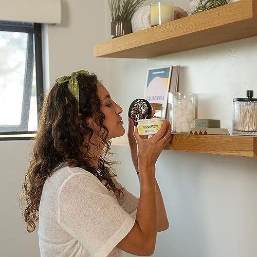 Fresh Wave Lemon Odor Eliminator Gel 3-Pk 7 oz - Air Freshener for Home | Plant-based essential oils. Lasts 15-30 days per jar. No plug-in needed. Pet-safe, closet and bathroom deoderizer. - size: 7 Fl Oz (Pack of 3)