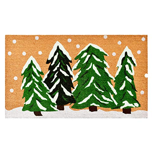 Calloway Mills 122253048 Winter Wonderland Doormat, 30" x 48", Multicolor - size: 2'6" x 4' (Rectangular)