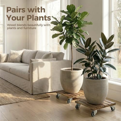 Bamworld Wood Plant Caddy with Wheels, 300lb Capacity, Heavy Duty Planter Stand with Wheels 12inch Plant Dolly 2 Pack Premium Quality, Ready to Use - size: 12inch-Square-2 pack