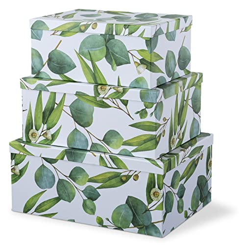 Soul & Lane - Sprigs of Green Decorative Storage Boxes with Lids, Set of 3 | Large Green Nesting Cardboard Boxes for Keepsakes, Photos and Gifts, Memory Containers for Home Decor and Organization - color: Sprigs of Green