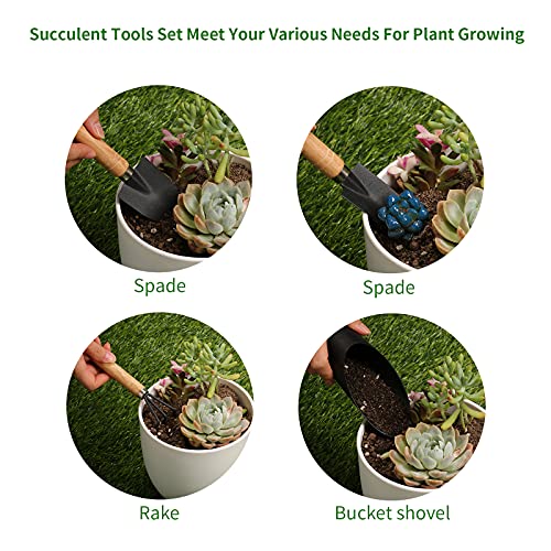 5Pcs Succulent Tool Set, Mini Garden Tools for Plant Care (No Flowerpot) | Plant Potting Mat as Plant Accessories,Succulent Gardening Hand Tools Kit for Seedling Soil,Gifts for Woman’s Gardening work - style: Classic Garden Tools