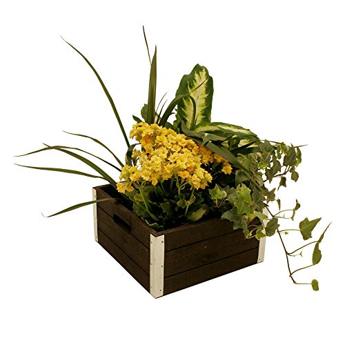 wald imports - Set of 3 Distressed Wooden Crates for Storage - Decorative Wooden Crate Set for Home Decoration & Display - Vintage Storage for Household Goods - color: Gray