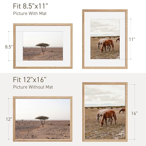 12x16 Picture Frame Natural Solid Oak Photo Frames with 8.5x11 Removable Mat Wall Hanging Large Handcrafted Frame with HD Plexiglass Wall and Tabletop Display Large Poster Frame - color: Oak, size: 12X16,1P