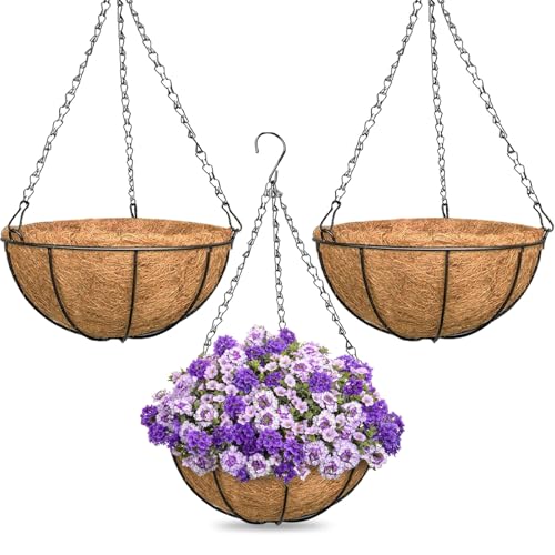 3 Pack 16 Inch Large Hanging Baskets for Plants Outdoor with Coconut Liners Replacement, Hanging planters Baskets with Natural Coco Liner for Outdoor Indoor Planters Flowers Vegetables - color: 3 Pack, size: 16 Inch