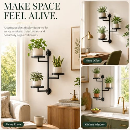 Window Plant Shelf, Wall Mounted Rotating Plant Holder Indoor | 3-Tier Metal Window Plant Shelves, Swivel Wall Plant Holder for Flowers, Herbs, Succulents and Houseplants