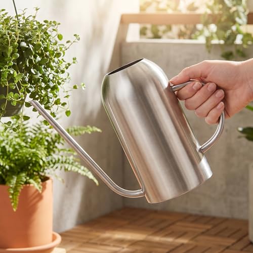 Fasmov Stainless Steel Watering Can with Long Spout Modern Style Watering Pot, 53oz/1.5L