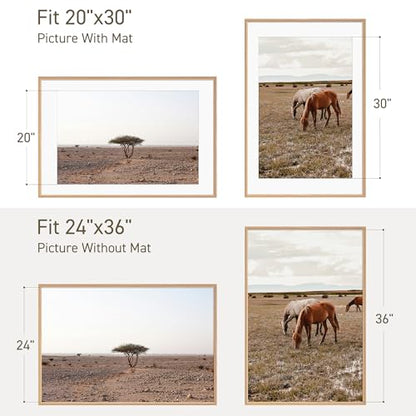 24x36 Poster Frame Set of 2 Natural Solid Oak Photo Frames with 20x30 Removable Mat Wall Hanging Large Handcrafted Frame with HD Plexiglass Wall and Tabletop Display Large Picture Frame - color: Oak, size: 24X36,2P