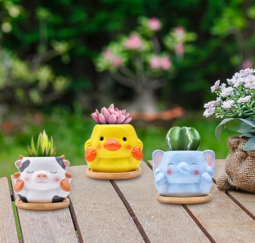 Photken 6 Pack Ceramic Succulent Pots with Drainage – Small Animal Planters with Bamboo Trays for Cactus & Indoor Plants, Mini Flower Pots for Desk, Home Decor, Office, Garden, Gift for Plant Lovers - style: Animals