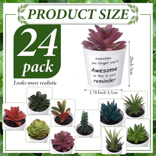 24 Set Mini Fake Succulents in Pots Back to School Gifts Plastic Artificial Faux Plants for Students Teachers Classmates Dorm Decor Study Desk Accessories