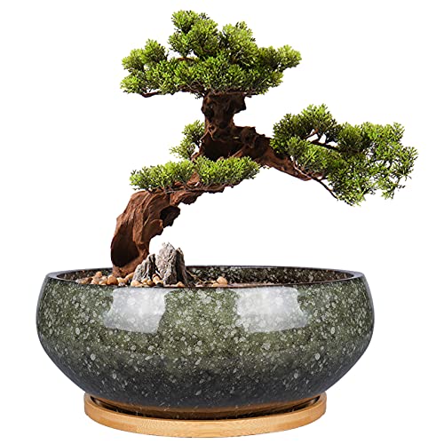 8 Inch Ceramic Bonsai Planter Pot, Glazed Shallow Succulent Planter with Drainage Hole and Bamboo Saucer for Indoor Plants, Brown - color: Green, size: 8 Inch