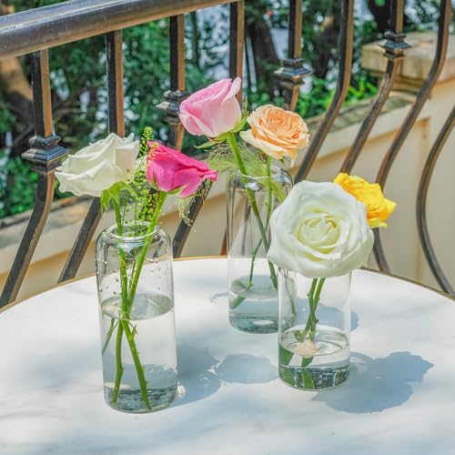 12pcs Glass Bud Vases - 6.7 Inch Tall Clear Flower Vases for Centerpieces, Glass Vase Modern Bud Vase for Wedding Party Dining Table Centerpieces, Living Room Decorative, Home Decor - size: 12 Pcs 6.7 Inch