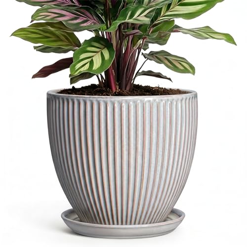 6 Inch Pots for Plants, Ceramic Plant Pots for Indoor Snake Plants, Round Succulent Planter with Drainage Hole and Saucer, Modern Decorative Flower Pot, Bathroom Decor, Gardening Gifts, Grey - size: 6 Inch, style: Grey